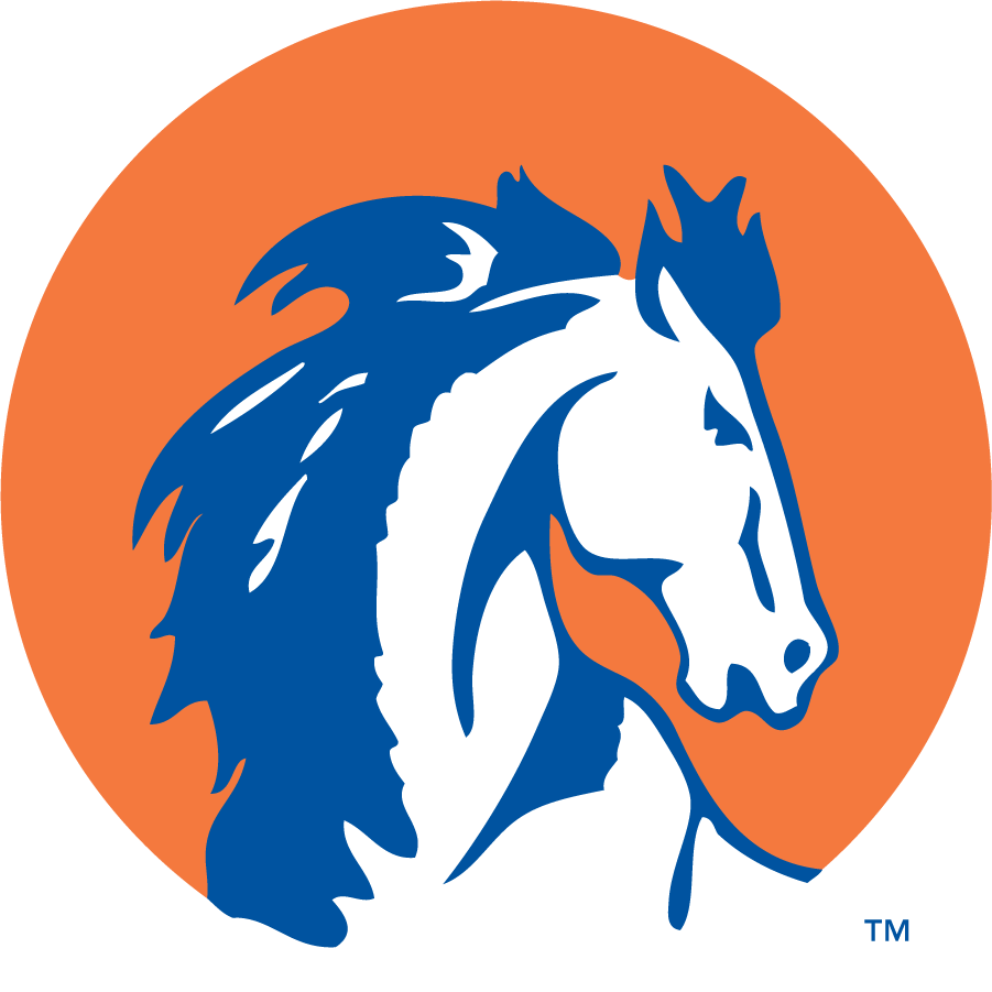 Boise State Broncos 1957-1983 Secondary Logo DIY iron on transfer (heat transfer)